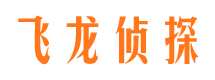 枞阳寻人公司